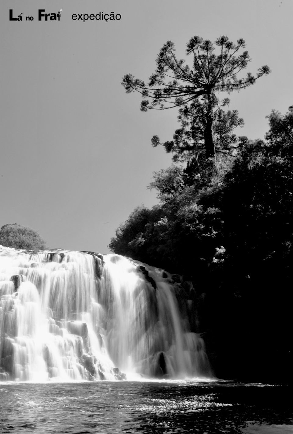 pinheiro cachoeira sbravatti